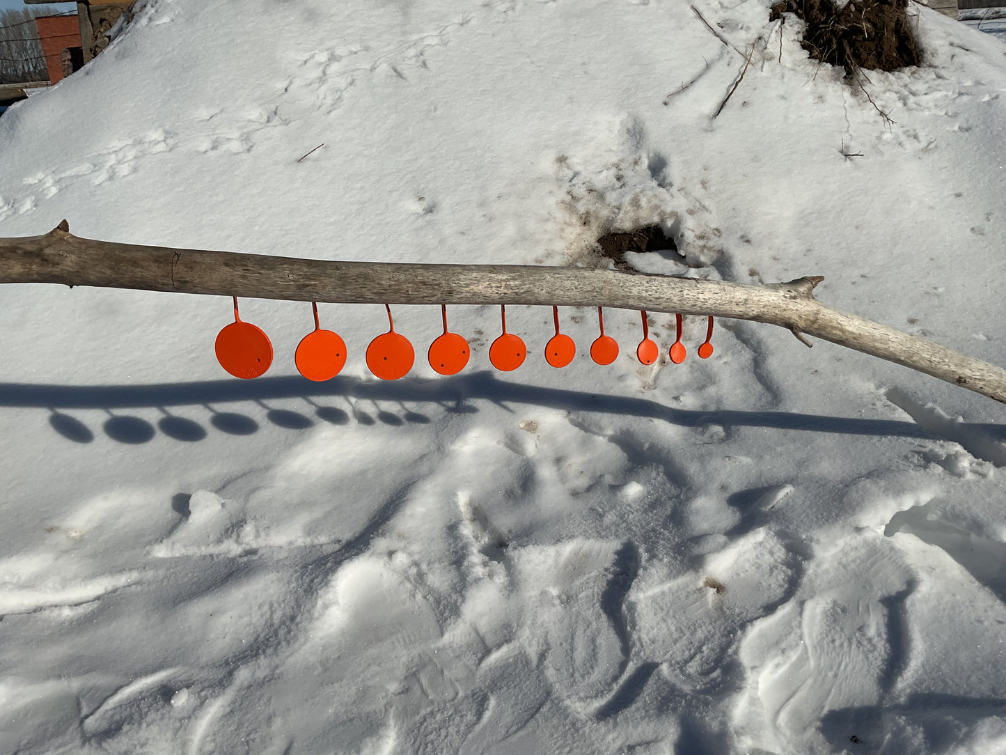 Pop Shot Target Set (Refill Only)